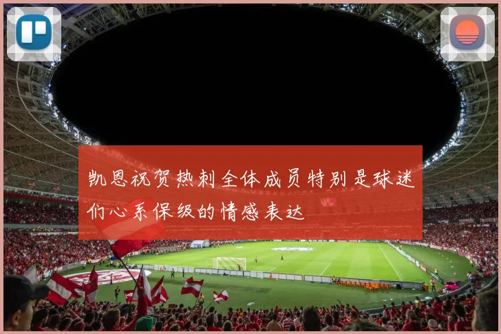 凯恩祝贺热刺全体成员特别是球迷们心系保级的情感表达
